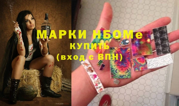 мдпв Арсеньев