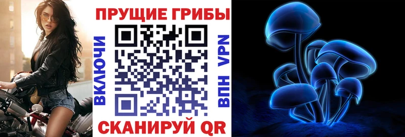 Галлюциногенные грибы мухоморы  MEGA как войти  Барабинск  магазин продажи наркотиков 